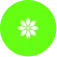 Attention to detail icon